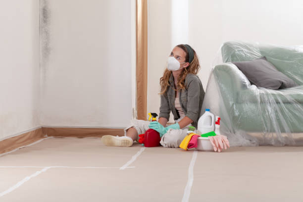 Reliable Bathroom Mold Removal contractor in Lexington, MA by WQB Mold Removal